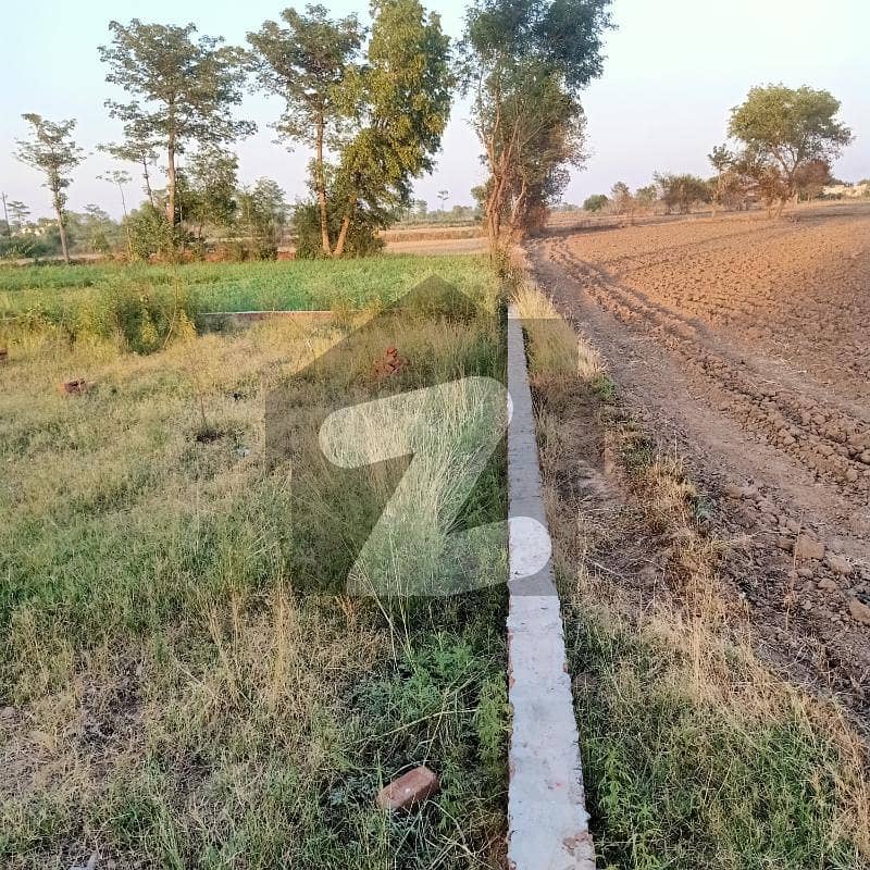 Book A Residential Plot Of 3375 Square Feet In Murala Mandi Bahauddin Road Murala Mandi Bahauddin Road