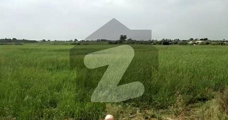 12 Acres Agricultural Land Is Available For Rent Near Gharo