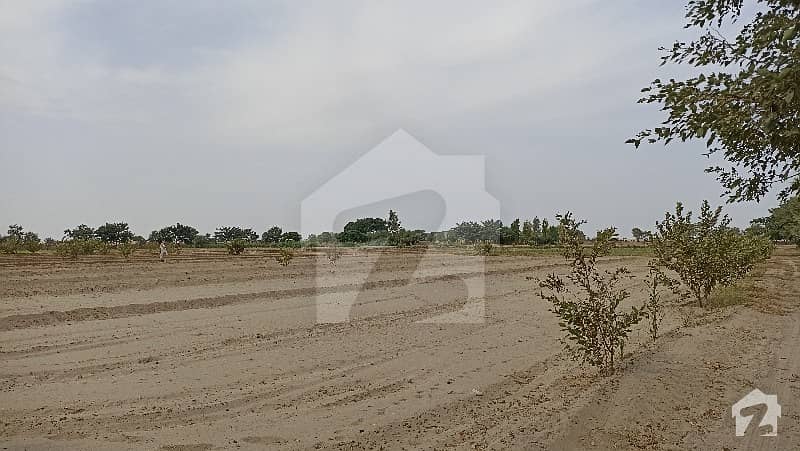 Agricultural Land For Sale