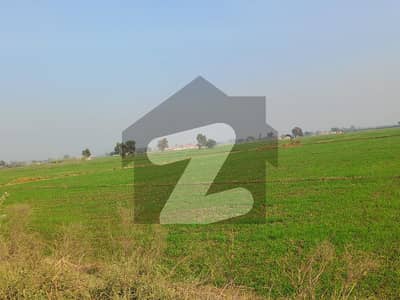 Agricultural Land and Agriculture Plots for Sale in Daska - Zameen.com