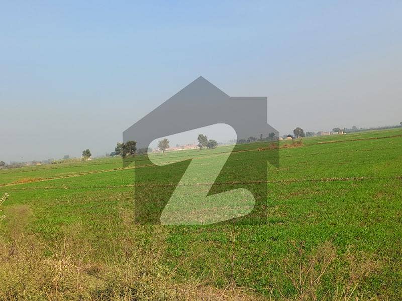 Agricultural Land For Sale Best Opportunity Awaiting