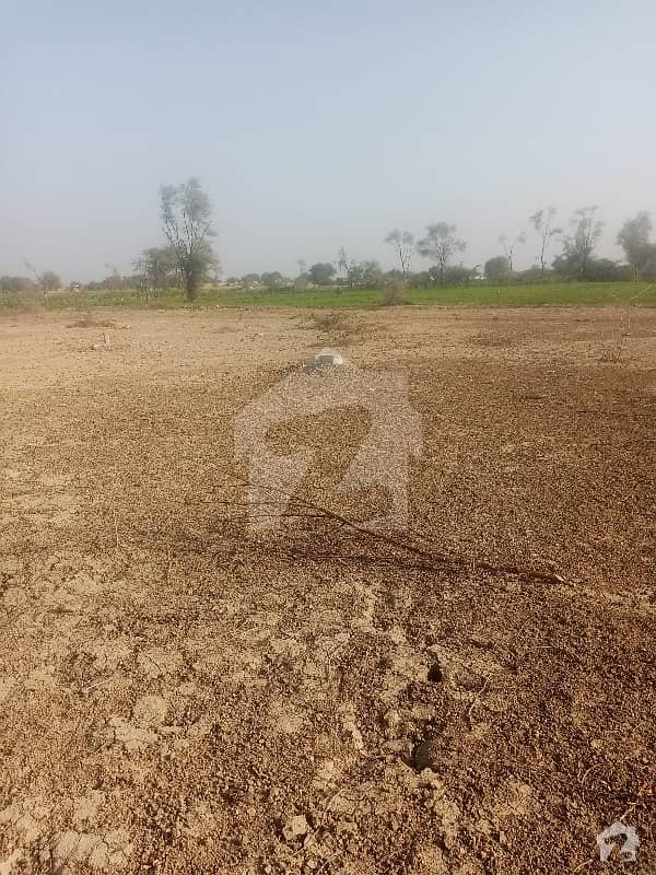 Ready To Buy A Residential Plot In Taunsa Taunsa