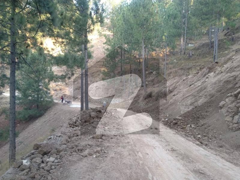 New Murree Towship Phase-II New Murree Towship Phase-II