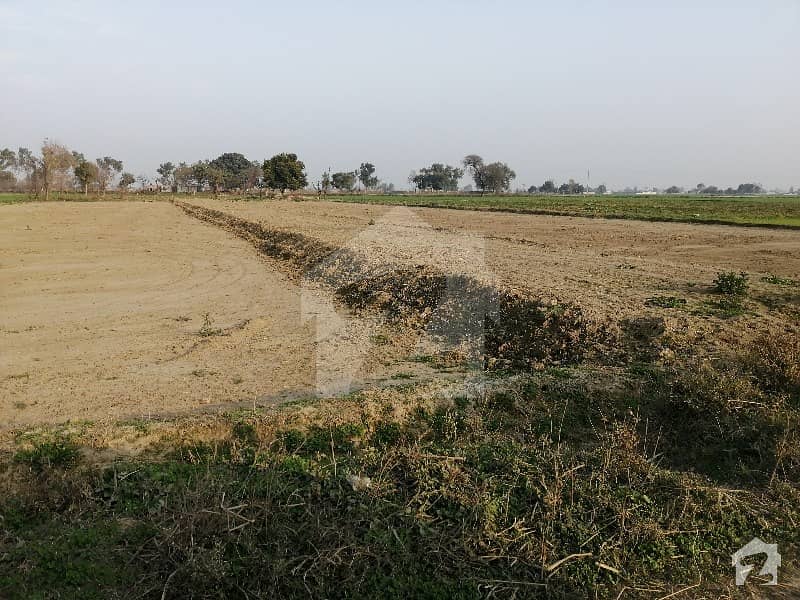 باٹا پور لاہور میں 16 کنال زرعی زمین 3.5 کروڑ میں برائے فروخت۔