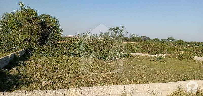 2250 Square Feet Commercial Plot For Sale Is Available In Bank Colony