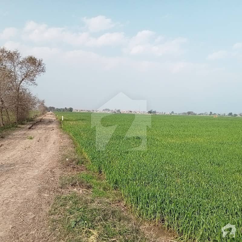 56 Kanal Agricultural Land For Sale Near Emanabad to Sialkot Road