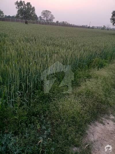 792000 Square Feet Agricultural Land Available For Sale In Zaitoon City