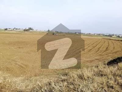 Land For Housing Scheme Or Agriculture Is Available  In Shorkot City Near Bypass On Zaile Road