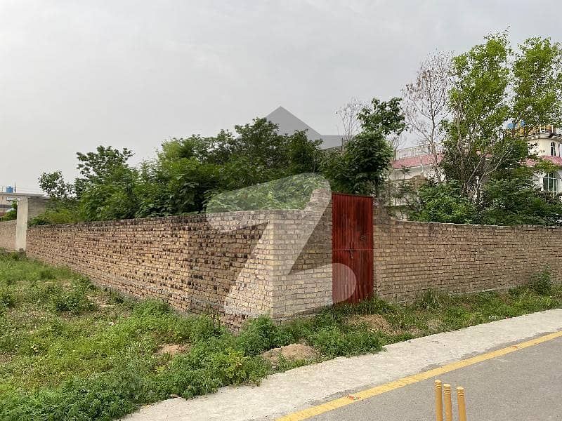1 Kanal Plot For Sale On Ideal Location In Tip Housing Society