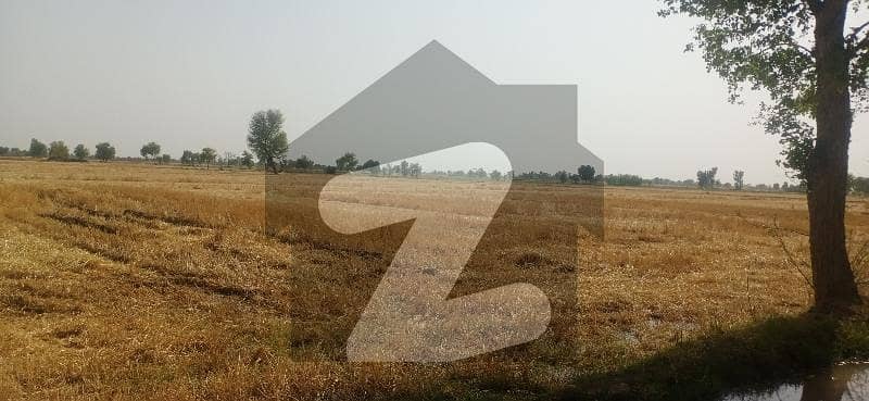 باگھو بہار روڈ خانپور میں 96 کنال زرعی زمین 6.6 کروڑ میں برائے فروخت۔
