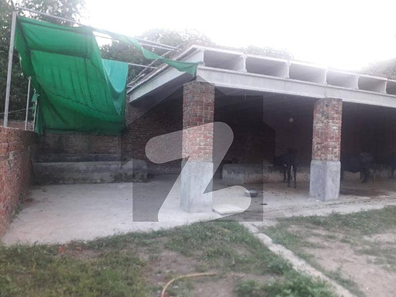 فیروزپور روڈ قصور میں 2 کمروں کا 4 کنال علاوہ 70 لاکھ میں برائے فروخت۔ فیروزپور روڈ قصور میں 2 کمروں کا 4 کنال علاوہ 70 لاکھ میں برائے فروخت۔