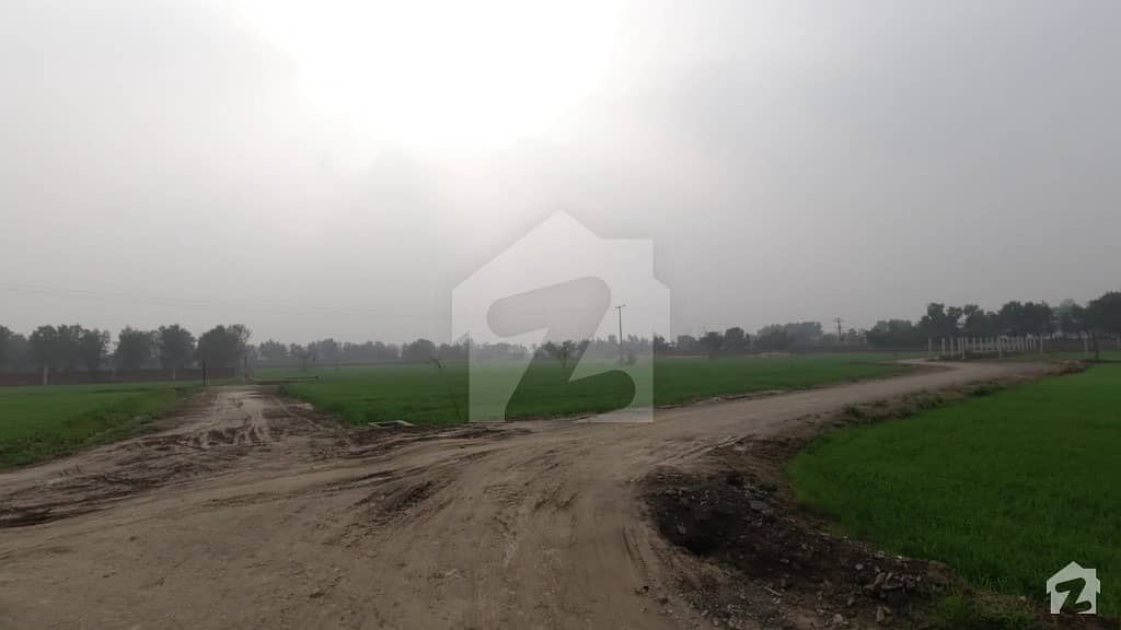 4 Kanal Farm House Land For Sale In Betian Road