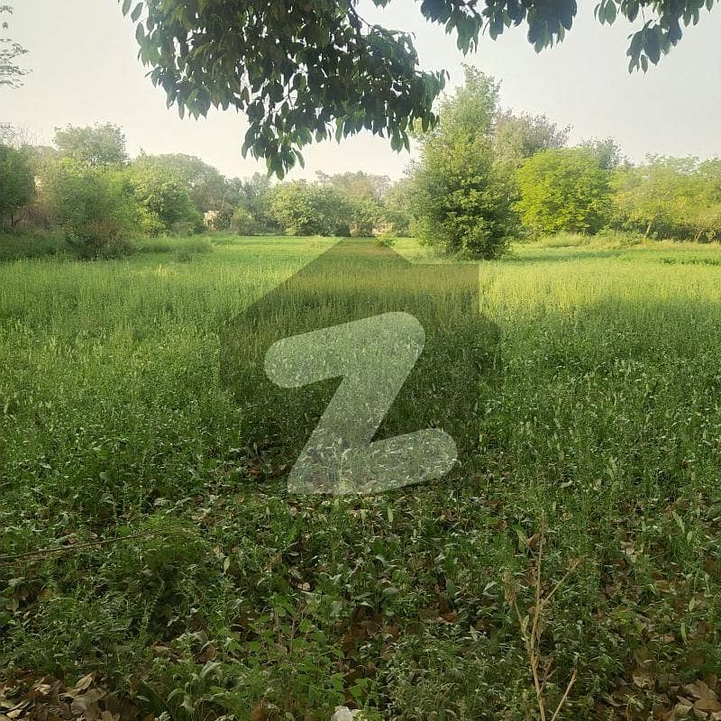 16- Kanal Farmhouse Land For Sale In Bedian Road Lahore In Grand Prime Location