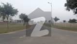 20 