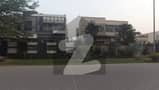 41 