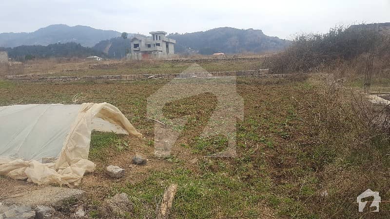 19 Marla Plot Available For Sale In Neelay Pair Abbottabad