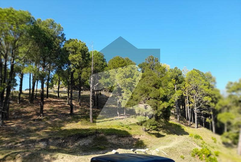 200 Kanal Land For Sale In Kuttli Sattian Rawalpindi 200 Kanal Land For Sale In Kuttli Sattian Rawalpindi