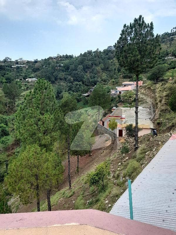 2 Kanal Commercial Plot In Pir Sohawa