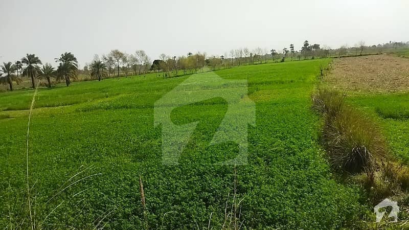 ڈی آئی خان نیو سٹی پہاڑ پور ڈیرہ اسماعیل خان میں 30 کنال زرعی زمین 6.9 کروڑ میں برائے فروخت۔