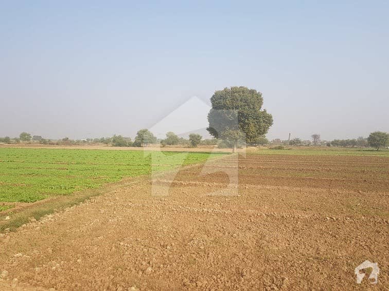 18 Kanal Agricultural Land For Sale