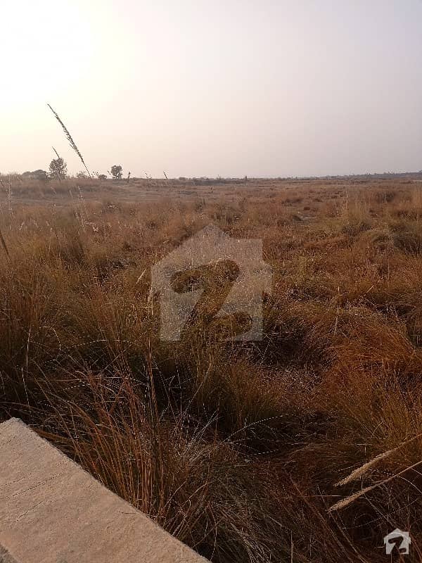 Sohawa Chakwal Road Mulhal Mughlan Police Choki 1000ft Front Main Road 1300 Marla Ok Documents 1 Lakh Per Marla Sohawa Chakwal Road Mulhal Mughlan Police Choki 1000ft Front Main Road 1300 Marla Ok Documents 1 Lakh Per Marla