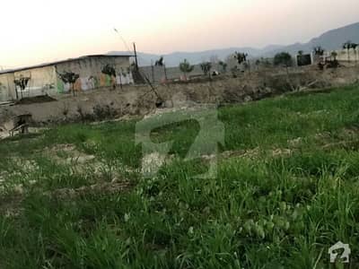 90000 Square Feet Agricultural Land For Sale In Shakardara Road