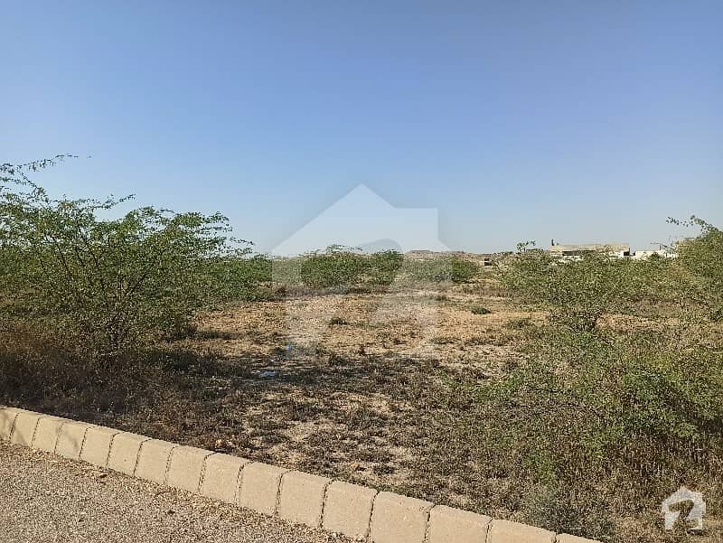 Surjani Town Sector 11 C 65 Yard Plot For Sale Surjani Town Sector 11C, Surjani Town