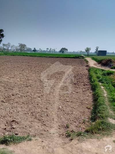 200 Kanal Agriculture Land For Sale In Bhadroo