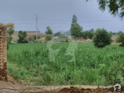Agriculture Land For Sale In Gojra City
