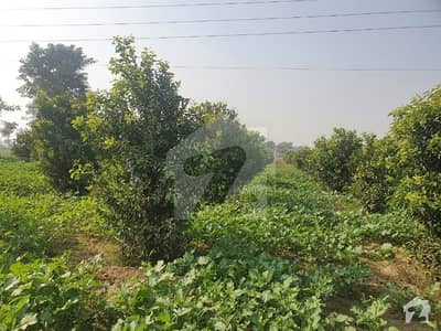 Buy 288000 Square Feet Agricultural Land At Highly Affordable Price