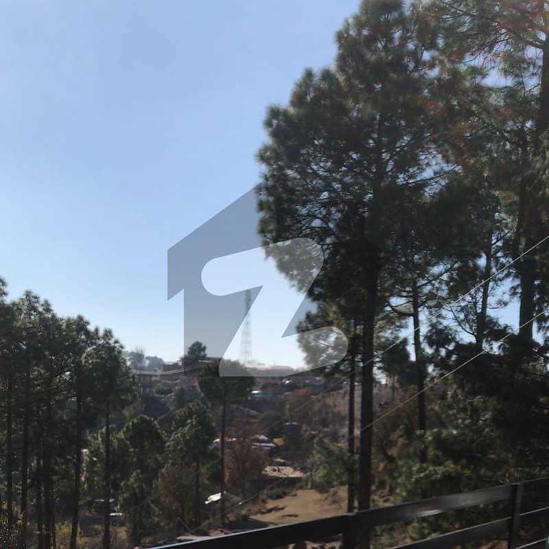 2 Bed Apartment flat Nice Location Walking Distance From Gloria Jeans