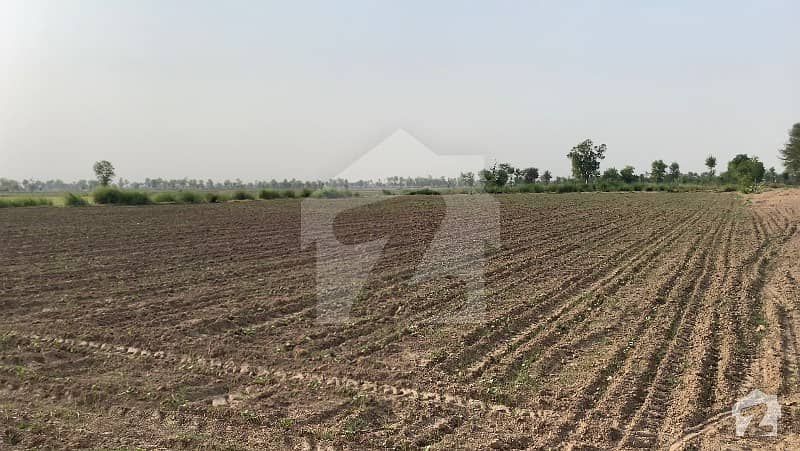 900000 Square Feet Agricultural Land In Haroonabad Bahawalnagar Road For Sale