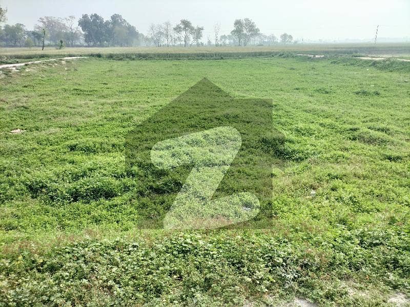 Very Nice And Clear Plot For Sale In Rafiq Court Very Nice And Clear Plot For Sale In Rafiq Court