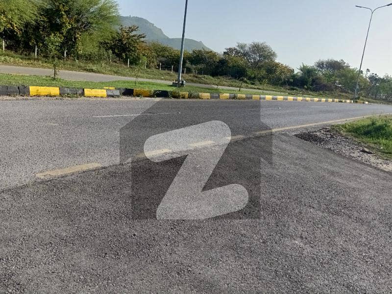 C-15 Double Road Plot For Sale On Investor Rate