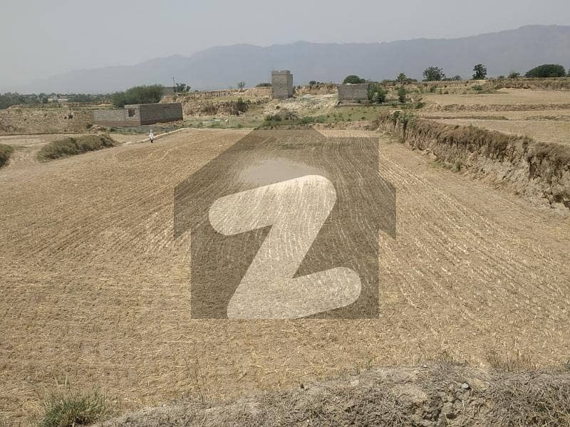 Get In Touch Now To Buy A 108000 Square Feet Agricultural Land In Kot Najibullah