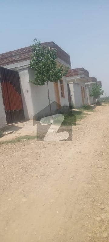 بغدادہ مردان میں 3 کمروں کا 3.33 کنال مکان 5.28 کروڑ میں برائے فروخت۔