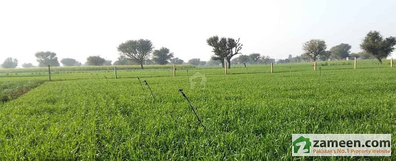10 Acres Land For Sale In Chak No 22/M Tehsil Dunyapur District Lodhran Multan Road