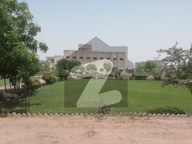 warehouseFactory Mill For Rent Bahawalpur Road Multan