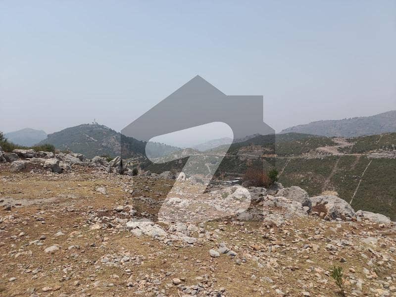 Land For Sale 7 Kanal Demand 25 Lac Per Kanal Top Of The Heigth - Kantla Haripur