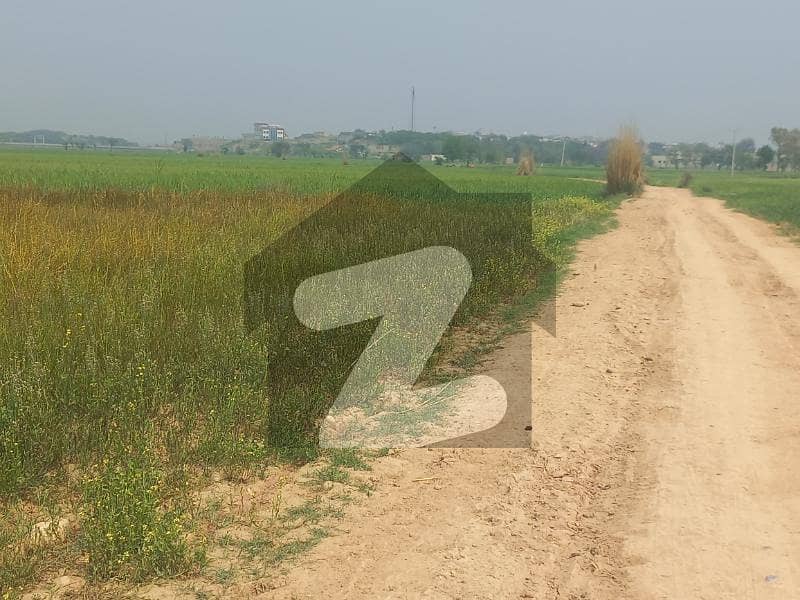 کنگڈم ویلی اسلام آباد راولپنڈی میں 42 کنال زرعی زمین 1.55 کروڑ میں برائے فروخت۔