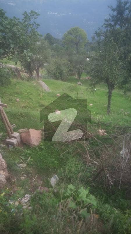 Residential Plot Is Available For Sale In Ihata Noor Khan