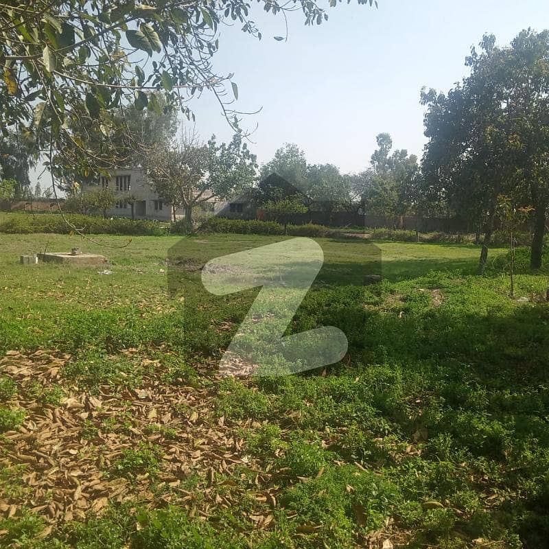 To Sale You Can Find Spacious Industrial Land In Gajju Matah