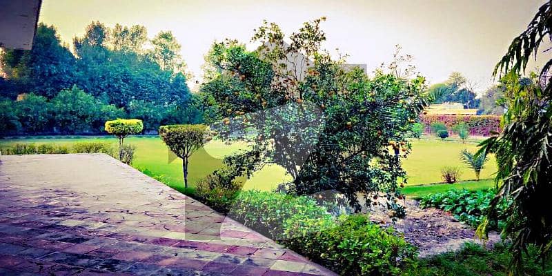 1 Kanal Farm House Available For Sale In Bedian Road Lahore