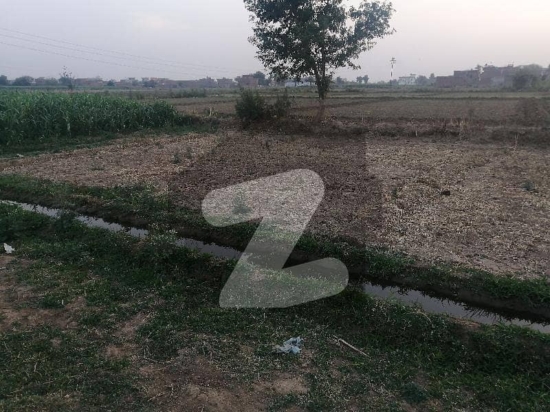 Residential Plot Of 2025 Square Feet For Sale In Buttar