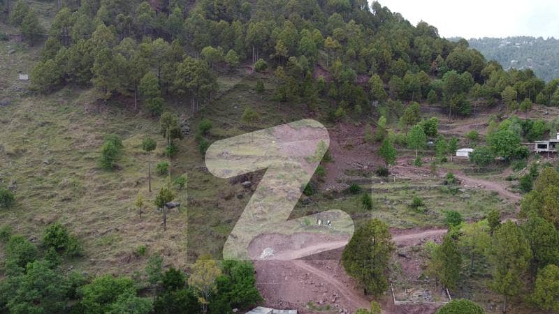 2.5 Marla House Is Available For Sale In Murree Expressway Murree