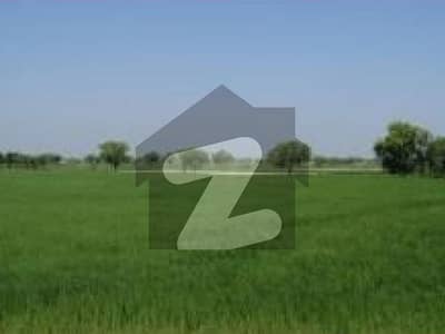 Nankana Sahib Near Gurudwara 50 Kanal Plot For Sale Single Owner