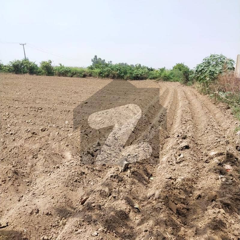 2 Kanal Farm House Land For Sale On Bedian Road Countryside Farm Houses