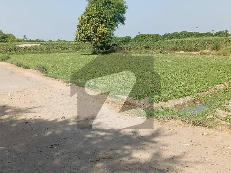 Agricultural Land For Sale In Ahamadpur East
