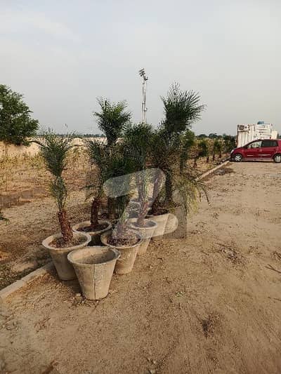 Lda City Lahore K Block 10marla On Ground Plot Available At Very Reasonable Rate - Lda City Best For Short Term Investment And Long Term Investment And This Project Is Best For Residence And Investment Purpose Due To Location Of This Project Lda City Lahore K Block 10marla On Ground Plot Available At Very Reasonable Rate - Lda City Best For Short Term Investment And Long Term Investment And This Project Is Best For Residence And Investment Purpose Due To Location Of This Project