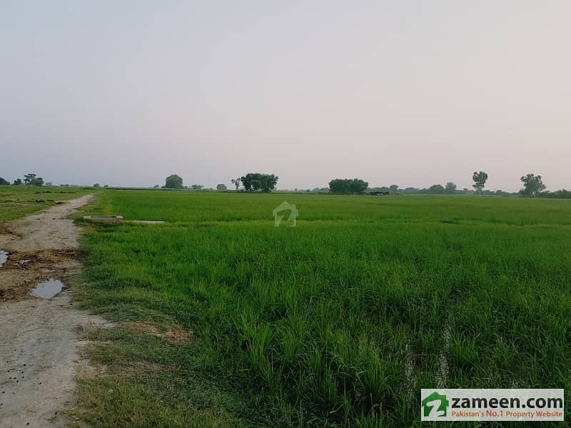 Agricultural Land 19 Acre 2 Kanal For Sale